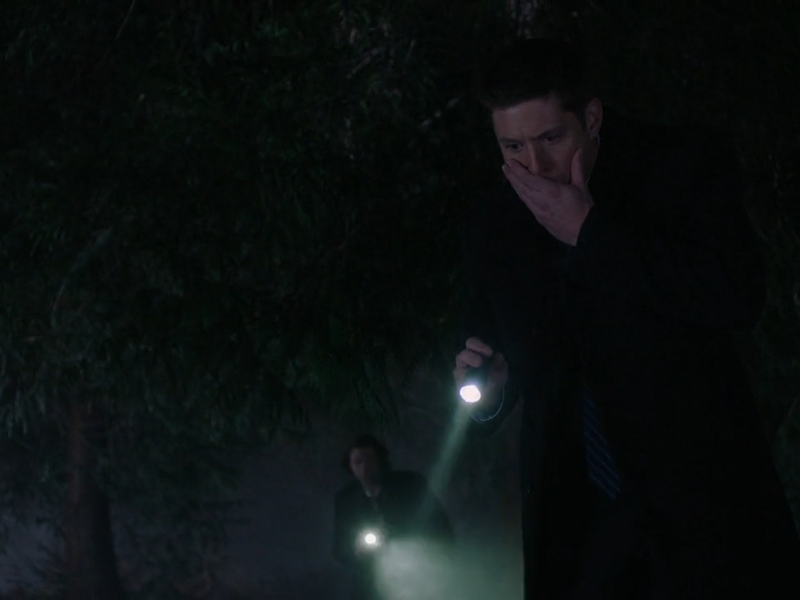 Foto 49 de Sobrenatural (12ª Temporada)