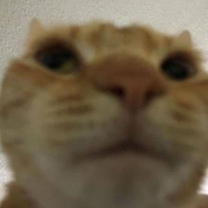 Foto de perfil de Talles