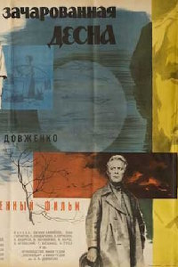 Poster de Filme O Desna Encantado (1964)