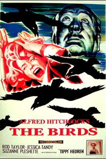  de Filme Os Pássaros (1963)