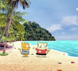 Goin' Coconuts