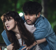 흔들린 술정