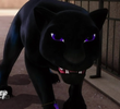 Animan