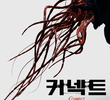 커넥트