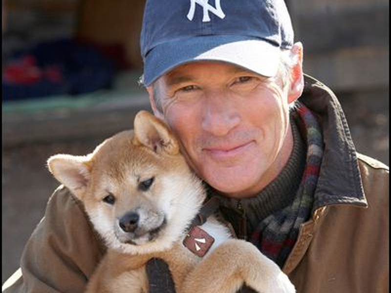 Foto 1 de Sempre ao Seu Lado