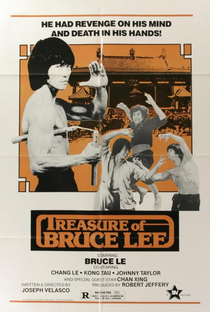 Treasure of Bruce Le - Poster / Capa / Cartaz - Oficial 1