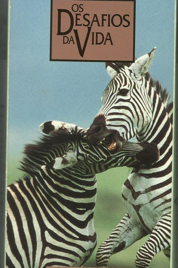 Poster de Série Os Desafios da Vida - Luta (1995)