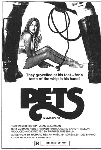 Poster 2 de Filme Submission (1973)