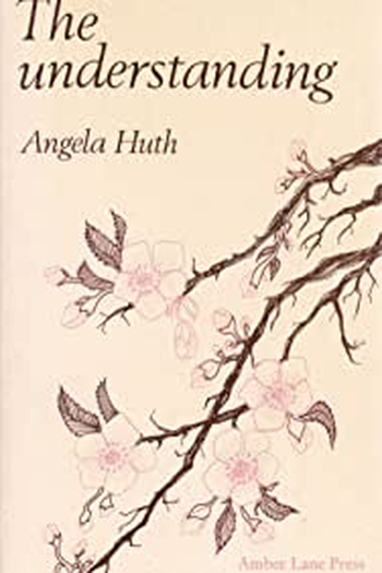 Poster de Filme The Understanding (1986)