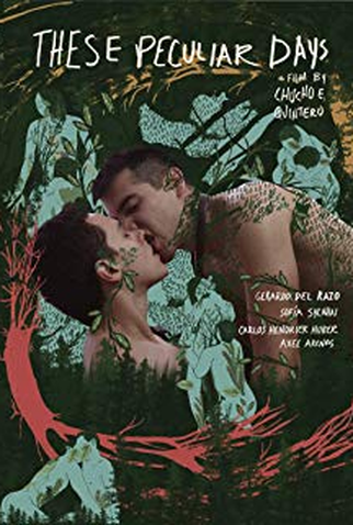 Poster 2 de Filme Os Dias Peculiares (2019)