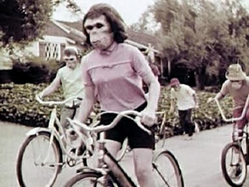 Foto 2 de One Got Fat: Bicycle Safety