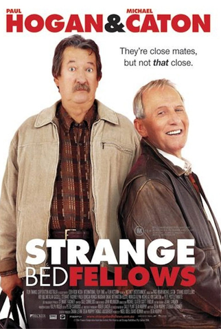 Poster 2 de Filme Estranha Amizade (2004)