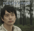Green Grass