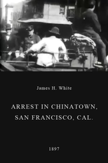 Arrest in Chinatown, San Francisco, Cal. (Arrest in Chinatown, San Francisco, Cal.)