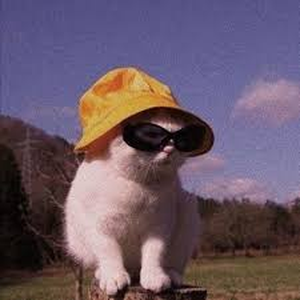 Foto de perfil de Rodolfo