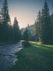 Gab. Fran. Silvestre