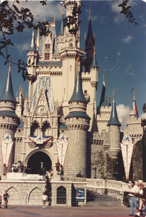 Walt Disney World: A Dream Come True - Poster / Capa / Cartaz - Oficial 1