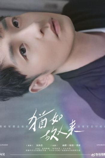 Poster de Série The Memory (2021)