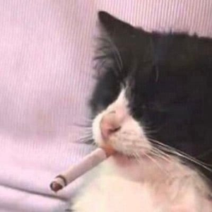 Foto de perfil de cypher