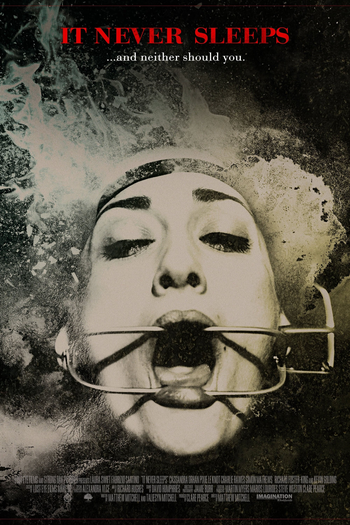 Poster de Filme It Never Sleeps (2014)