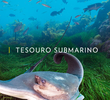 Tesouro Submarino