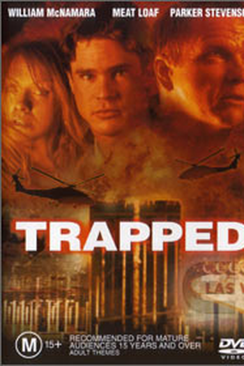 Poster de Filme Armadilha Na Torre  (2001)