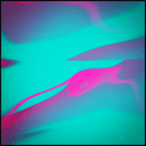 Foto de perfil de A Z