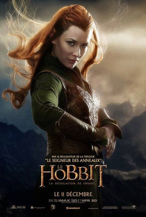 O Hobbit: A Desolação de Smaug - Poster / Capa / Cartaz - Oficial 11