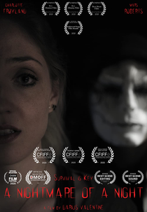 Um Pesadelo de uma Noite (A Nightmare of a Night)