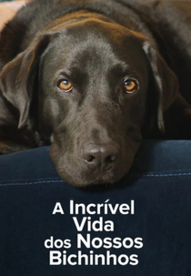 A Incrível Vida dos Nossos Bichinhos (1ª Temporada) (The Hidden Lives of Pets (Season 1))
