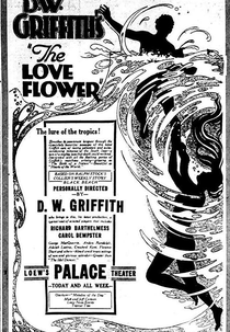 Flor de Amor (The Love Flower)