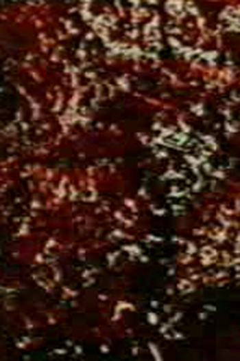 Poster de Curta Prelude 11 (1996)