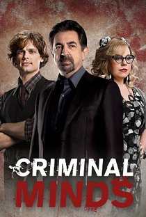Mentes Criminosas (14ª Temporada) - Poster / Capa / Cartaz - Oficial 1
