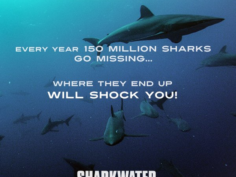 Foto 5 de Sharkwater Extinction