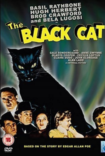 O Gato Negro - Poster / Capa / Cartaz - Oficial 3