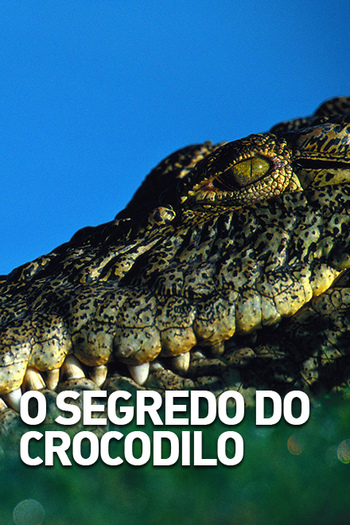 Poster de Série O Segredo do Crocodilo (2015)