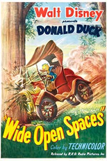 Wide Open Spaces (Wide Open Spaces)