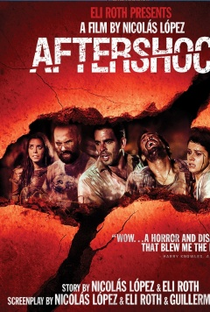 Aftershock - Poster / Capa / Cartaz - Oficial 3