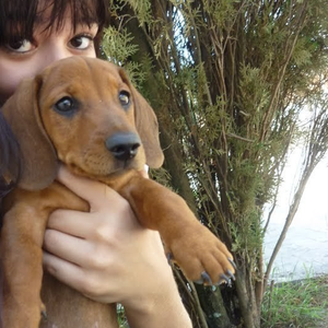 Foto de perfil de Marina