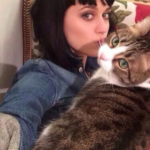 Foto de perfil de @jamillepinheiro