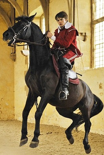 Lucy Worsley's Reins of Power: The Art of Horse Dancing - Poster / Capa / Cartaz - Oficial 1