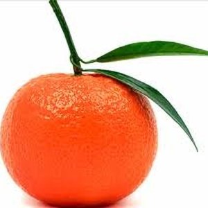 Foto de perfil de Tangerine Hinglia