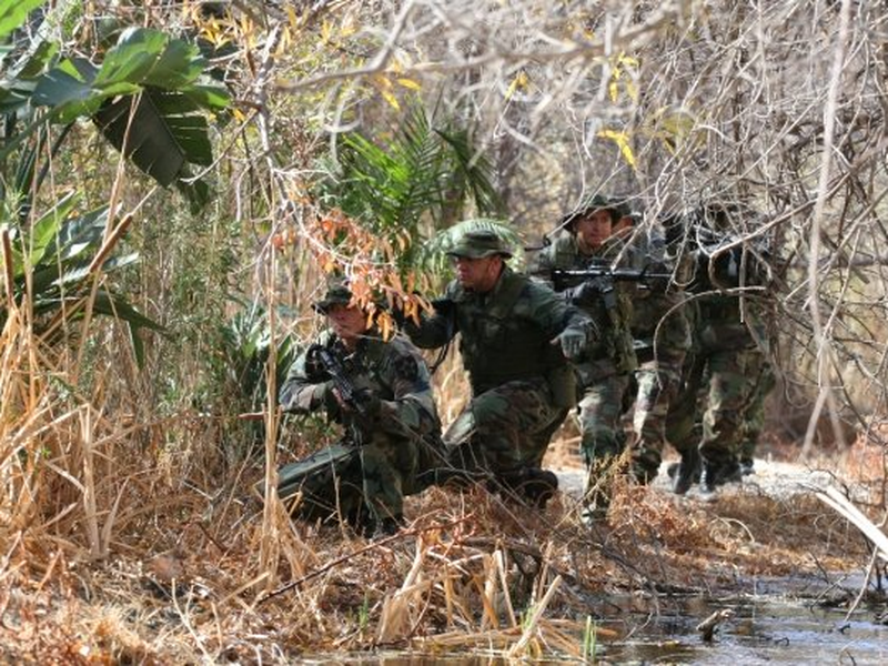 Foto 28 de Beyond the Game