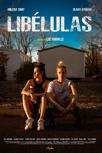 Poster de Filme Libélulas (2022)