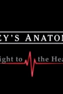 Grey's Anatomy: Straight to the Heart - Poster / Capa / Cartaz - Oficial 1