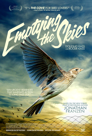 Poster 1 de Filme Esvaziando os céus (2013)