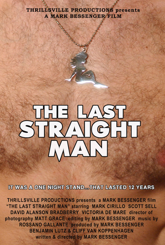 Poster 2 de Filme O Último Homem Hétero (2014)