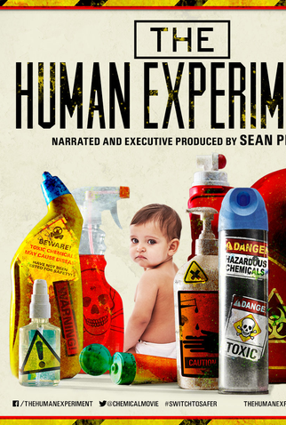 Poster 1 de Filme A Experiência Humana (2013)