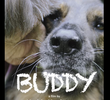Buddy