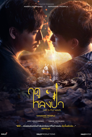 Poster 1 de Série Lost In The Woods (2025)